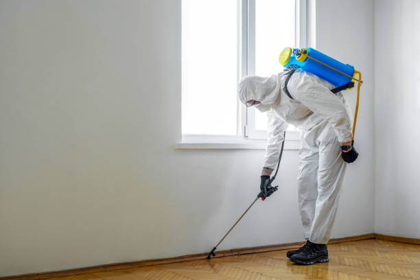 Best Bed Bug Extermination  in Rock Port, MO