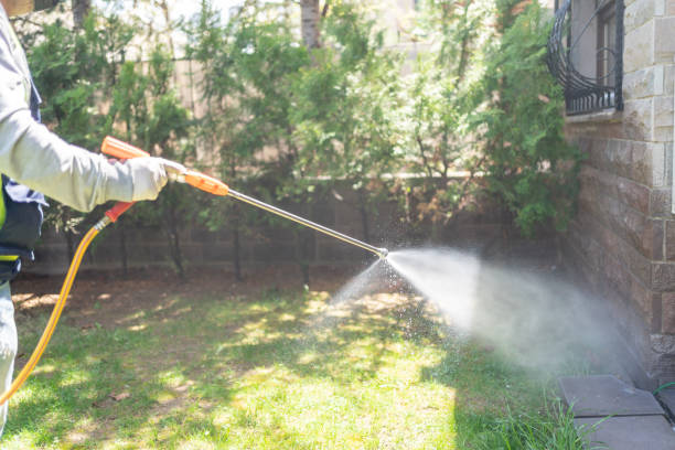 Best Residential Pest Control  in Rock Port, MO